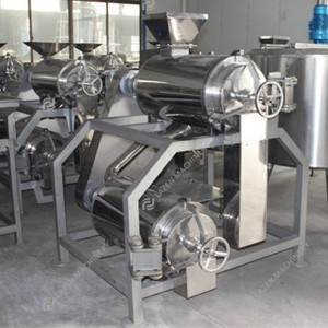 Fruit destoning and pulping machine