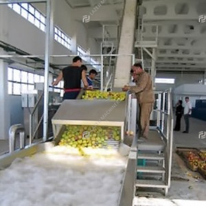 Mango processing line