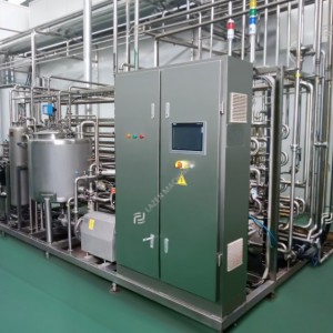 Mango processing line