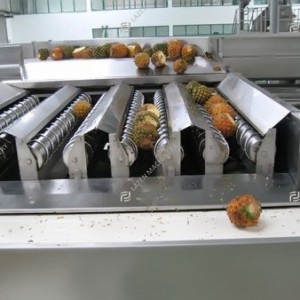 Pineapple processing line