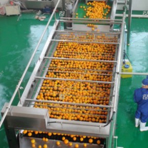Citrus processing line