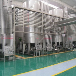 Pineapple processing line