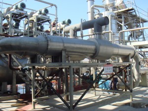 Avocado processing line