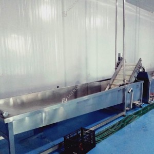 Dried fruits production line