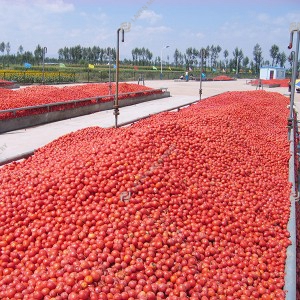 Tomato paste processing line
