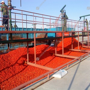 Tomato powder processing line