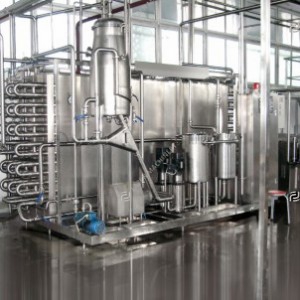 Peach apricot plum processing line