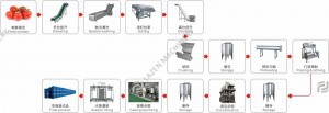 tomato concentrated paste processing turnkey project