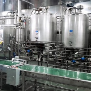 Kiwi processing line