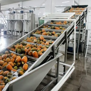 Pineapple processing line