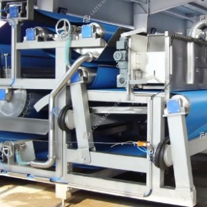 Berry fruit processing line