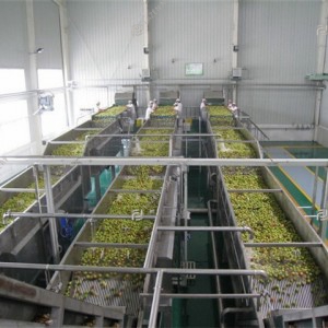 Apple and pear processing line