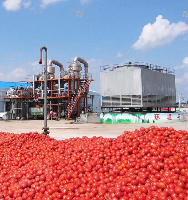 Tomato paste production line