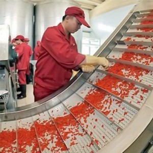 Date processing line_