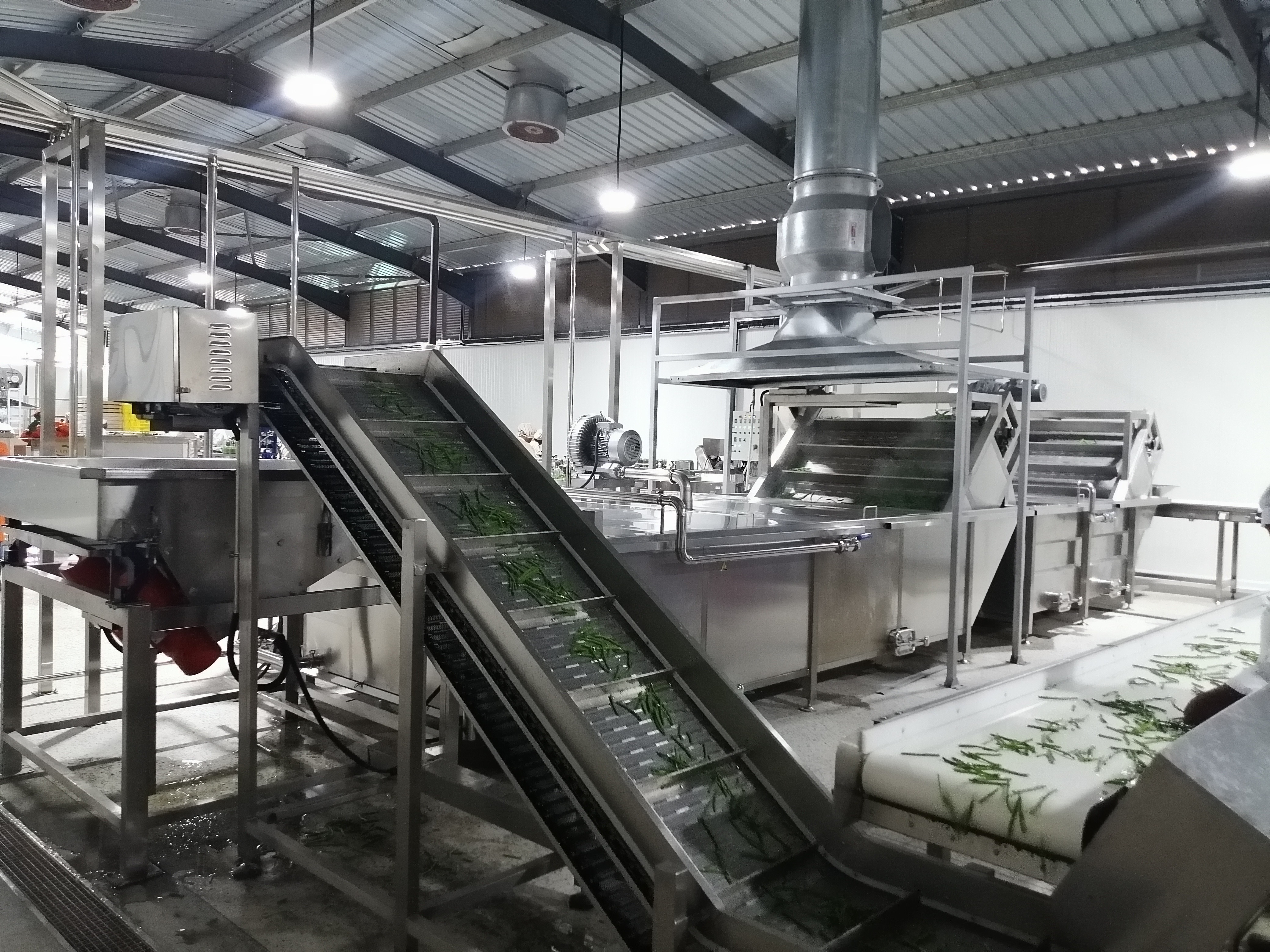 Automatic beans canning production line fruit and vegetable processing machine