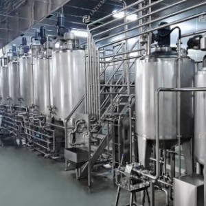Kiwi processing line