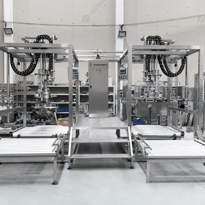 Ton box aseptic filling machine