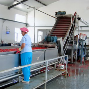 Tomato juice processing line