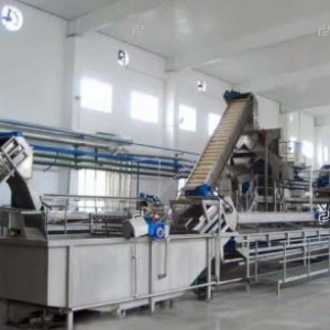 Berry fruit processing line
