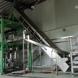 Guava processing line
