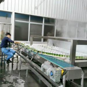 Coconut processing line