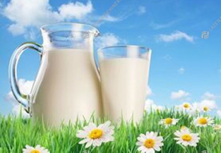 Dairy processing machines 