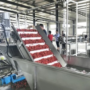 Berry fruit processing line