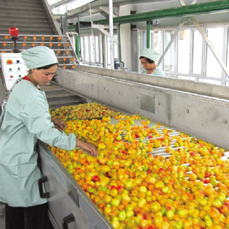 LAZEN MACHINERY – Apple Juice and Apple Concentrate Processing Solutions