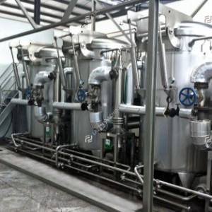 Kiwi processing line