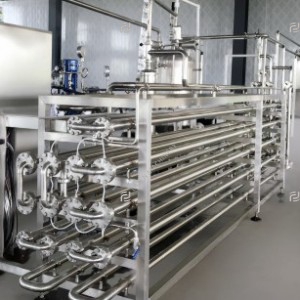Berry fruit processing line