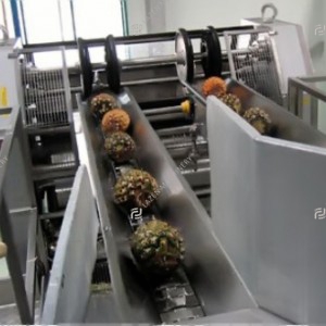 Pineapple processing line