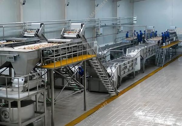 Apple and pear processing line