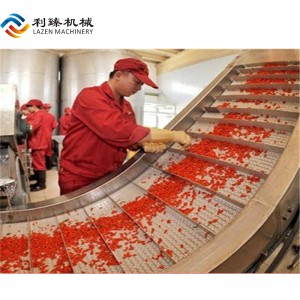 Belt type fruit sorting machine