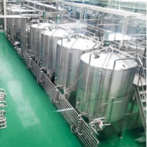 Peach apricot plum processing line
