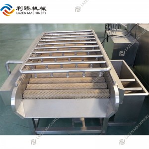 Spray and brush washing machine