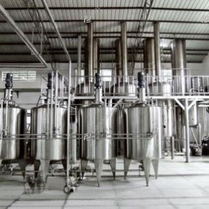 Peach apricot plum processing line