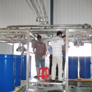 Apple and pear processing line