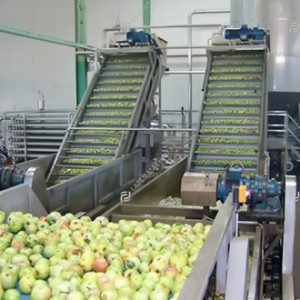Apple and pear processing line