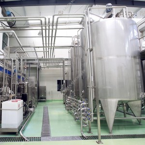 Mango processing line