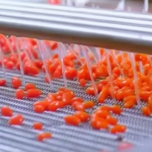 Date processing line_