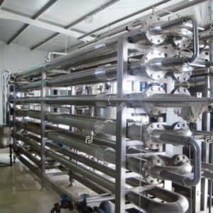 Pumpkin processing line
